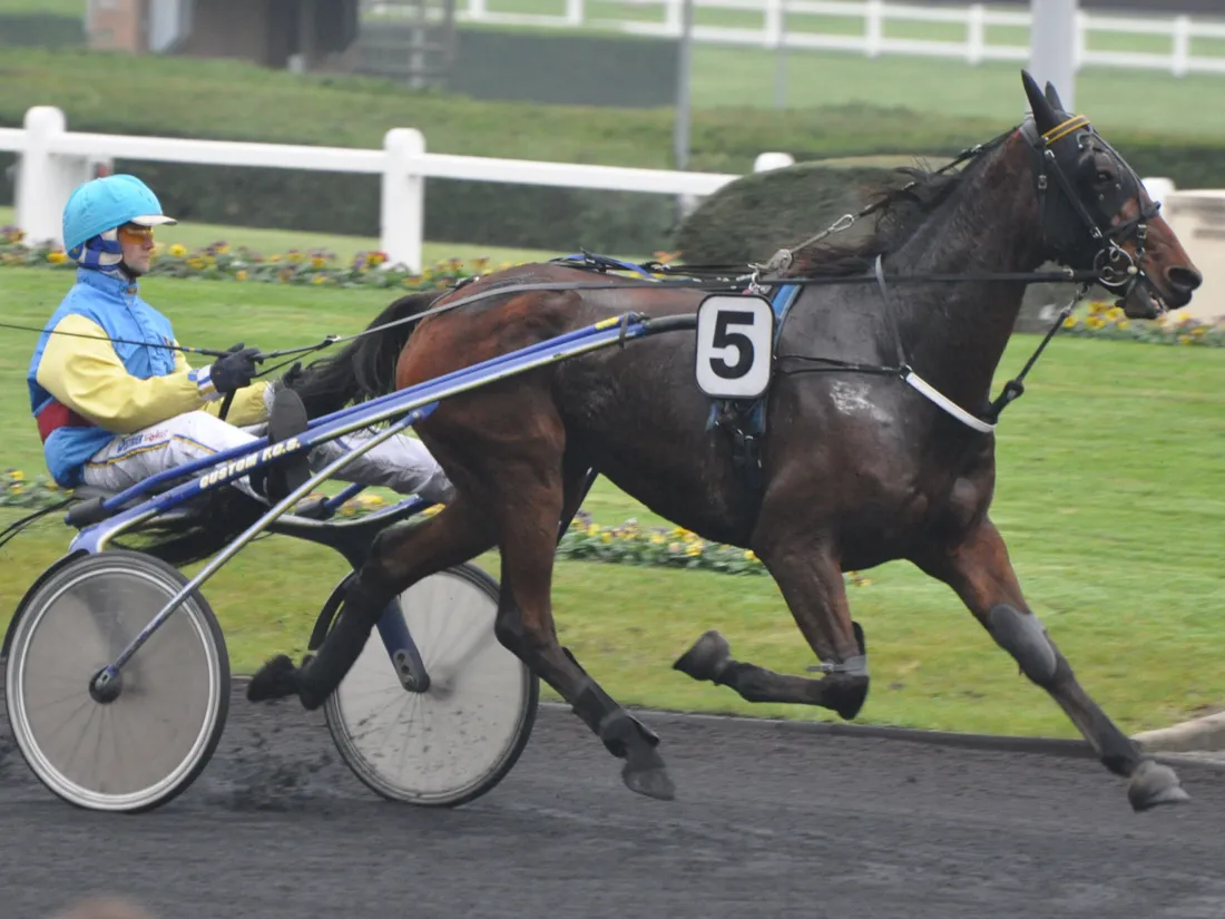 pronostics trotteur